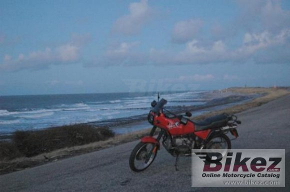 1991 BMW R 100 GS photo